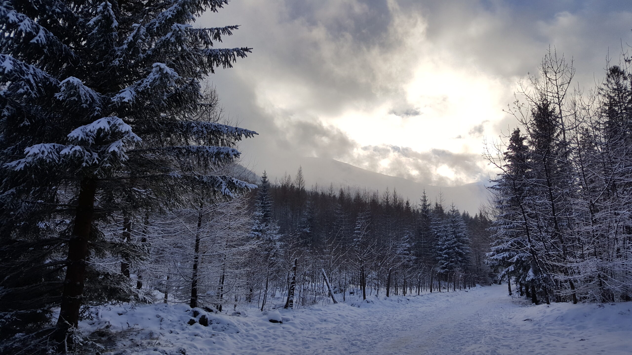Co widziały góry wszechmocne, czyli recenzja na pohybel morzu